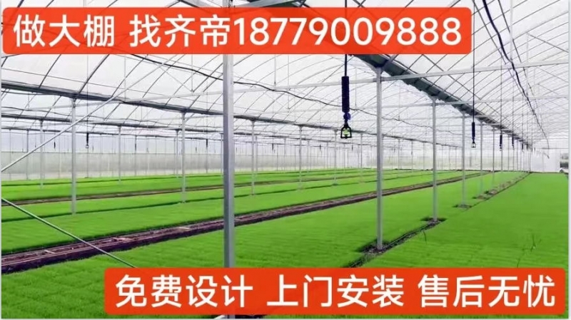 齊帝 養(yǎng)殖大棚 養(yǎng)魚(yú) 、蝦、螃蟹等